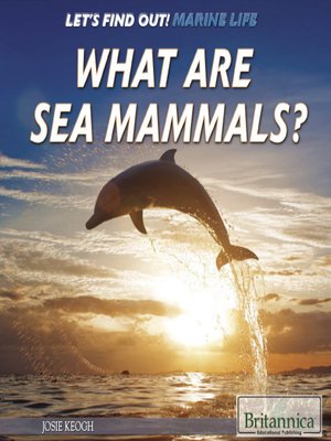cover image of What Are Sea Mammals?